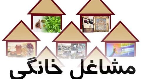 سامانه حمایت از مشاغل خانگی